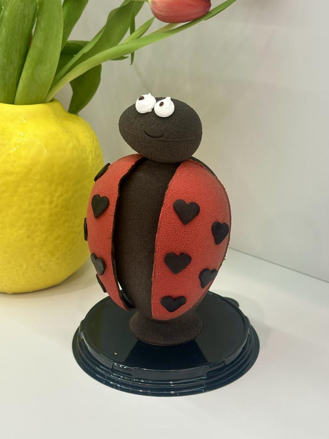 La Coccinelle (chocolat noir ou lait) - 320g